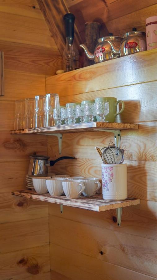 Mountain House Drveni Raj Villa Zabljak  Bagian luar foto